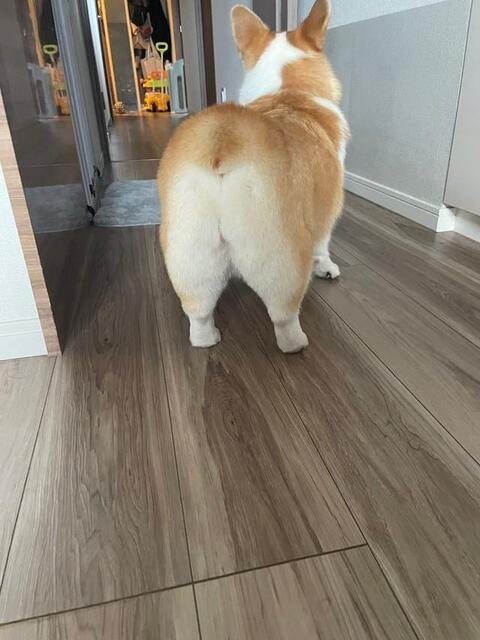 テキスト